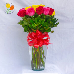 24 rosas multicolor