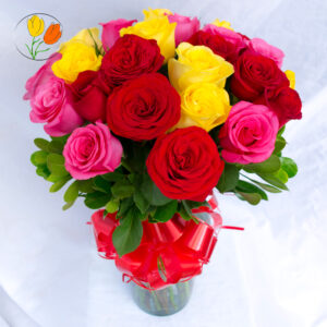 24 rosas multicolor