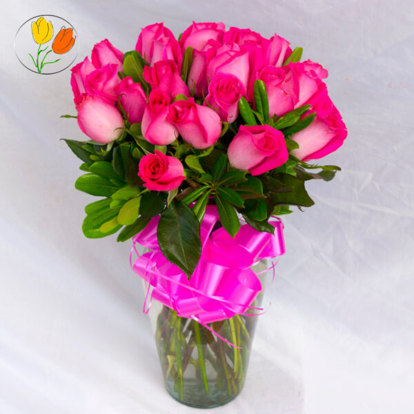 24 rosas fucsia en jarron