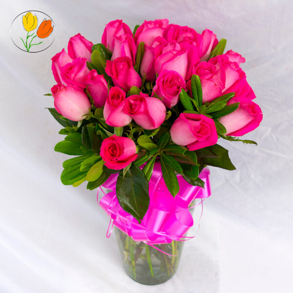 24 rosas fucsia en jarron