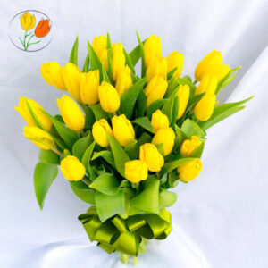 30 tulipanes en ramo