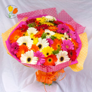 36 gerberas en ramo