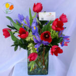 Iris y tulipan