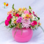 Primaveral Rosado