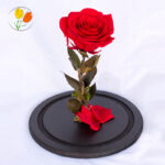 Rosa eterna