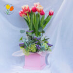 Tulipanes en caja