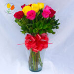 12 rosas multicolor