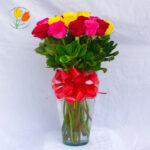 18 rosas multicolor