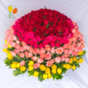 350 rosas en canasta