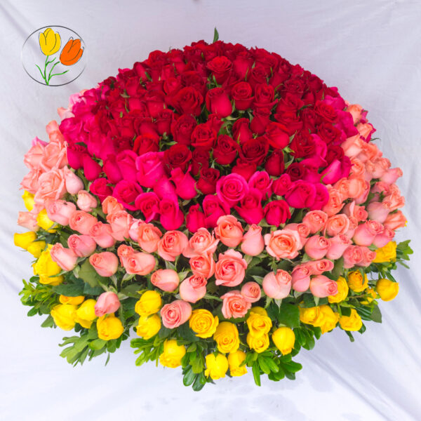 350 rosas en canasta