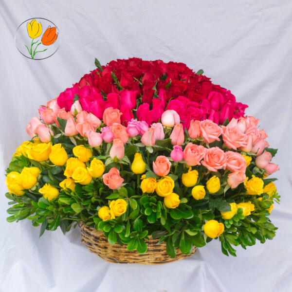 350 rosas en canasta